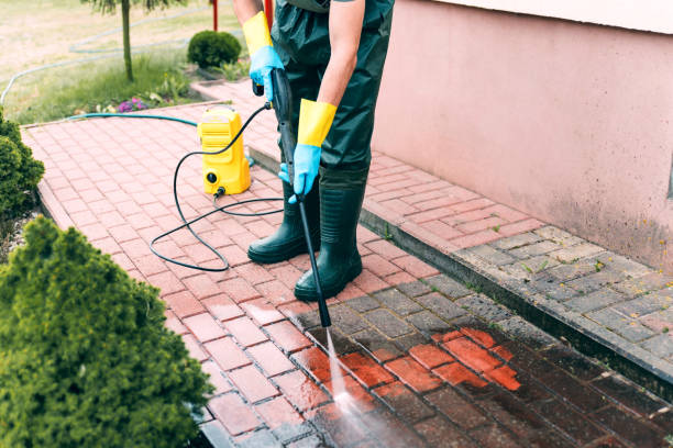 Best Roof Pressure Washing  in Newaygo, MI