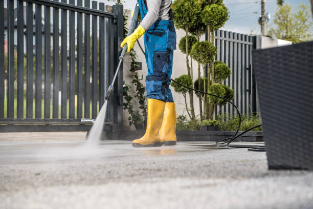 Professional Pressure Washing in Newaygo, MI