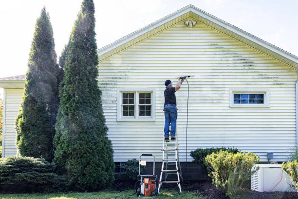  Newaygo, MI Pressure Washing Pros