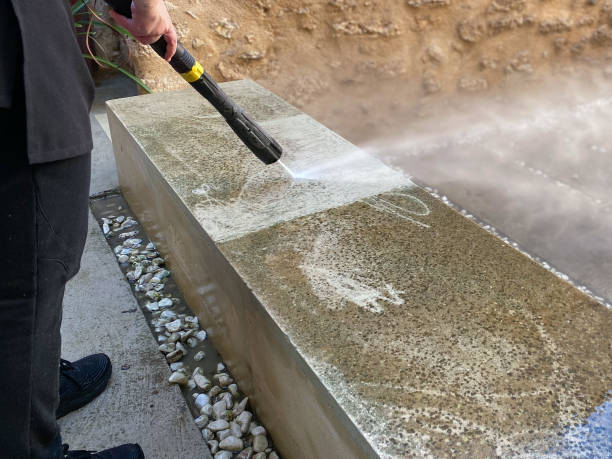 Best Local Pressure Washing Services  in Newaygo, MI