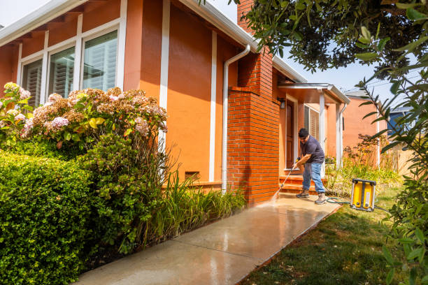 Best Deck Cleaning Services  in Newaygo, MI