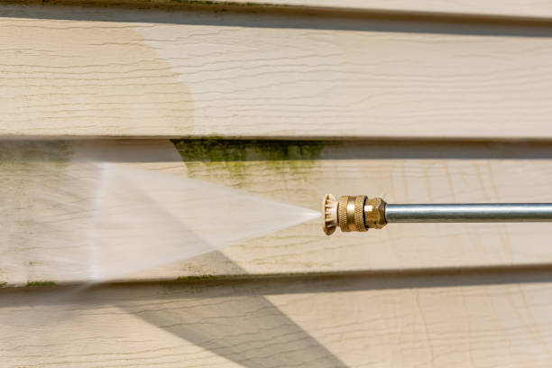 Best Pressure Washing Driveway  in Newaygo, MI