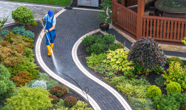 Best House Pressure Washing  in Newaygo, MI